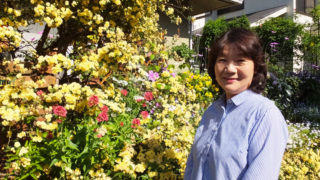 今週末からオープンガーデン5月開催、イベントの原点は綱島・真島さんの庭