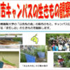 1300種の生物種が存在する日吉キャンパス、11/4（土）に親子向け「生きもの観察会」