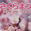 2018年の大倉山さくらまつりは3/31（土）、レモンロードで盛り上げの花植えも